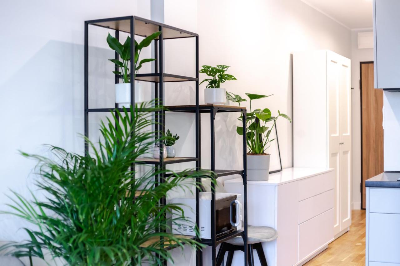Studio W Centrum- Villa Wenecja Poznań Buitenkant foto